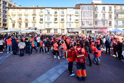 El Camino por Soria Contra el Cáncer vuelve a llenar las calles de la capital de miles de personas para recaudar fondos para la investigación.