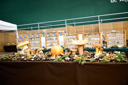 San Leonardo volvió a presumir de setas y conocimiento en sus XXII Jornadas Micológicas.