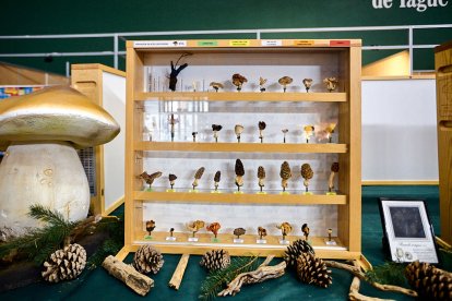 San Leonardo volvió a presumir de setas y conocimiento en sus XXII Jornadas Micológicas.