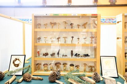 San Leonardo volvió a presumir de setas y conocimiento en sus XXII Jornadas Micológicas.