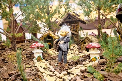 San Leonardo volvió a presumir de setas y conocimiento en sus XXII Jornadas Micológicas.