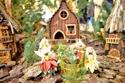 San Leonardo volvió a presumir de setas y conocimiento en sus XXII Jornadas Micológicas.