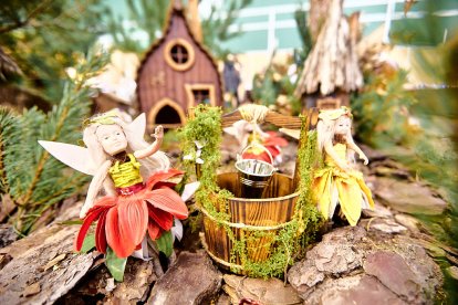 San Leonardo volvió a presumir de setas y conocimiento en sus XXII Jornadas Micológicas.