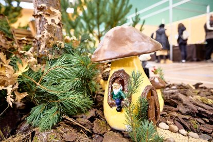 San Leonardo volvió a presumir de setas y conocimiento en sus XXII Jornadas Micológicas.