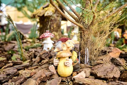 San Leonardo volvió a presumir de setas y conocimiento en sus XXII Jornadas Micológicas.