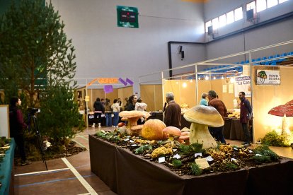 San Leonardo volvió a presumir de setas y conocimiento en sus XXII Jornadas Micológicas.
