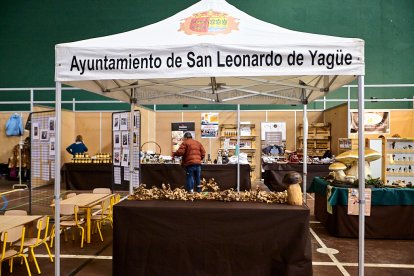 San Leonardo volvió a presumir de setas y conocimiento en sus XXII Jornadas Micológicas.
