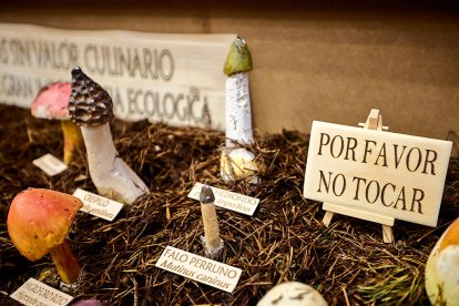 San Leonardo volvió a presumir de setas y conocimiento en sus XXII Jornadas Micológicas.