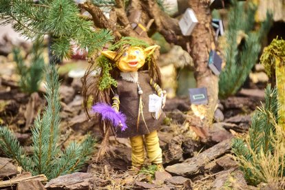 San Leonardo volvió a presumir de setas y conocimiento en sus XXII Jornadas Micológicas.