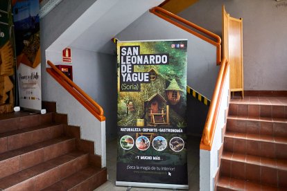 San Leonardo volvió a presumir de setas y conocimiento en sus XXII Jornadas Micológicas.