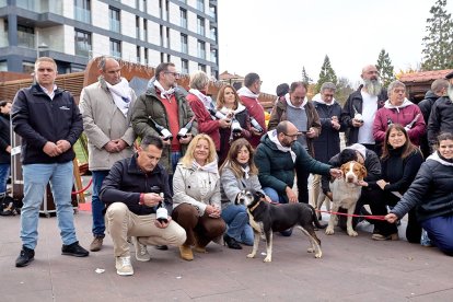 Destina la recaudación obtenida a la protectora de animales Redención Soria.