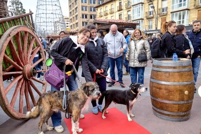Destina la recaudación obtenida a la protectora de animales Redención Soria.