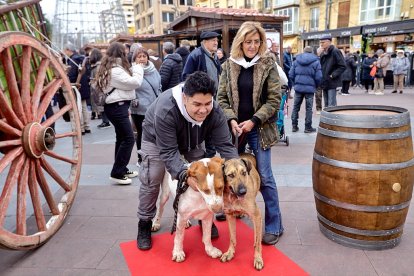 Destina la recaudación obtenida a la protectora de animales Redención Soria.