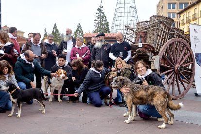 Destina la recaudación obtenida a la protectora de animales Redención Soria.