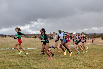 El Cross cuenta con tres circuitos posibles, de 1.000, 1.500 y 2.000 metros.