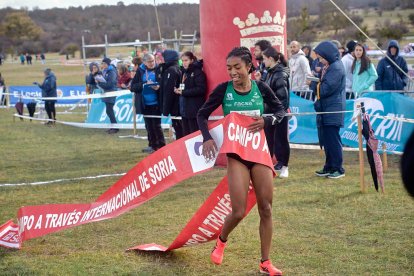 El Cross cuenta con tres circuitos posibles, de 1.000, 1.500 y 2.000 metros.