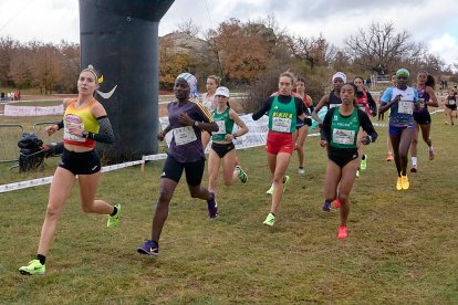 El Cross cuenta con tres circuitos posibles, de 1.000, 1.500 y 2.000 metros.