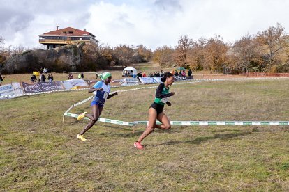 El Cross cuenta con tres circuitos posibles, de 1.000, 1.500 y 2.000 metros.