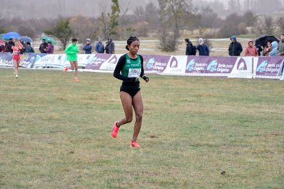 El Cross cuenta con tres circuitos posibles, de 1.000, 1.500 y 2.000 metros.