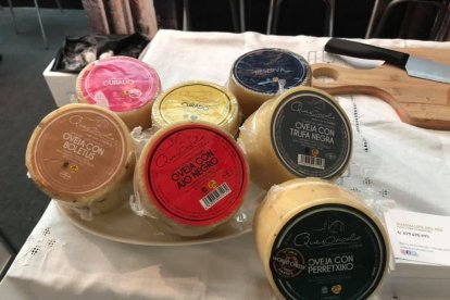 Variedades de queso artesano de Quesoncala, incluyendo el premiado queso de oveja con boletus.