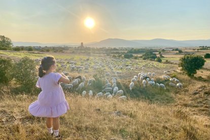 '¡Rebaño y pueblo a la vista1'. El Cubo de la Sierra (Almarza).
