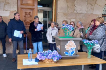 Flores elaboradas en el CEAS Ribera en San Esteban de Gormaz