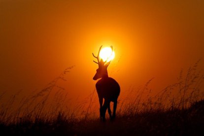 'La corona de Fuego sobre los Montes de Soria'.