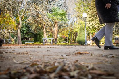 El paseo se encuentra al comienzo del parque entrando por Mariano Granados.