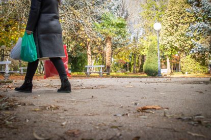 El paseo se encuentra al comienzo del parque entrando por Mariano Granados.