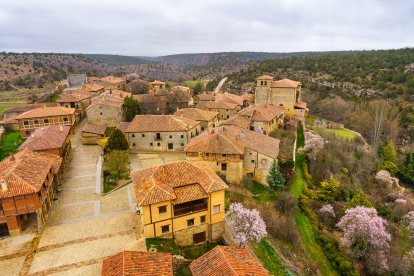 Calatañazor desde el aire: un enclave medieval abrazado por uno de los bosques de sabinas más densos de Europa.