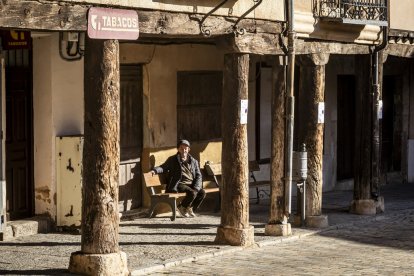 Expositores y actividades de todo tipo