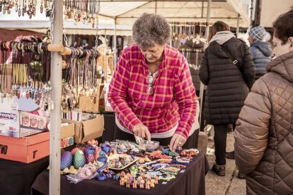 Expositores y actividades de todo tipo