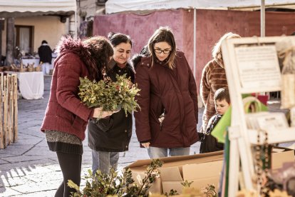 Expositores y actividades de todo tipo