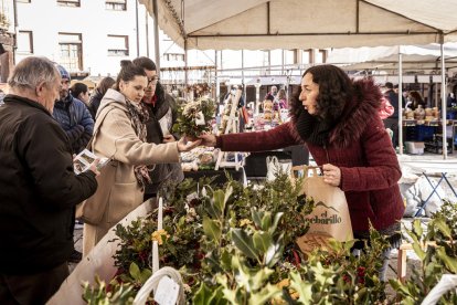 Expositores y actividades de todo tipo