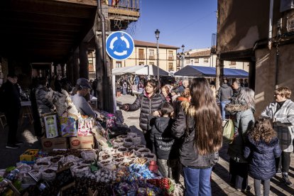 Expositores y actividades de todo tipo
