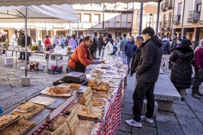 Expositores y actividades de todo tipo