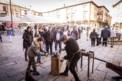 Expositores y actividades de todo tipo