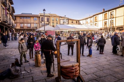 Expositores y actividades de todo tipo