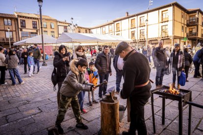 Expositores y actividades de todo tipo