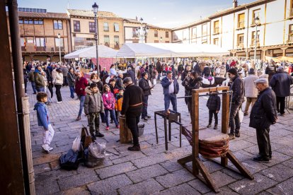 Expositores y actividades de todo tipo