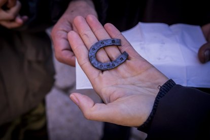 Expositores y actividades de todo tipo