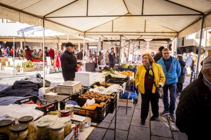 Expositores y actividades de todo tipo