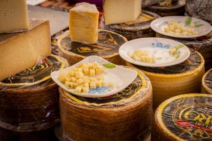 Expositores y actividades de todo tipo