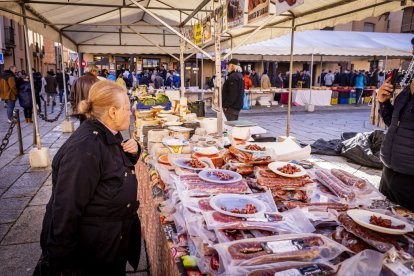 Expositores y actividades de todo tipo