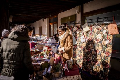 Expositores y actividades de todo tipo