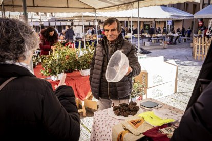 Expositores y actividades de todo tipo