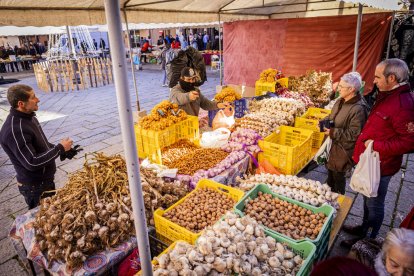 Expositores y actividades de todo tipo