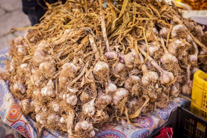 Expositores y actividades de todo tipo