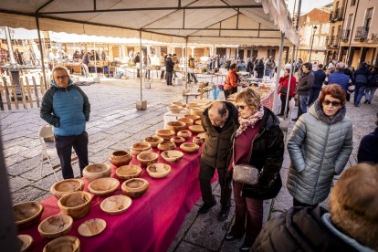 Expositores y actividades de todo tipo