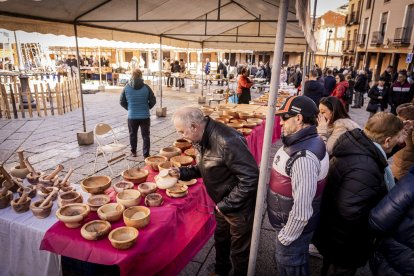 Expositores y actividades de todo tipo